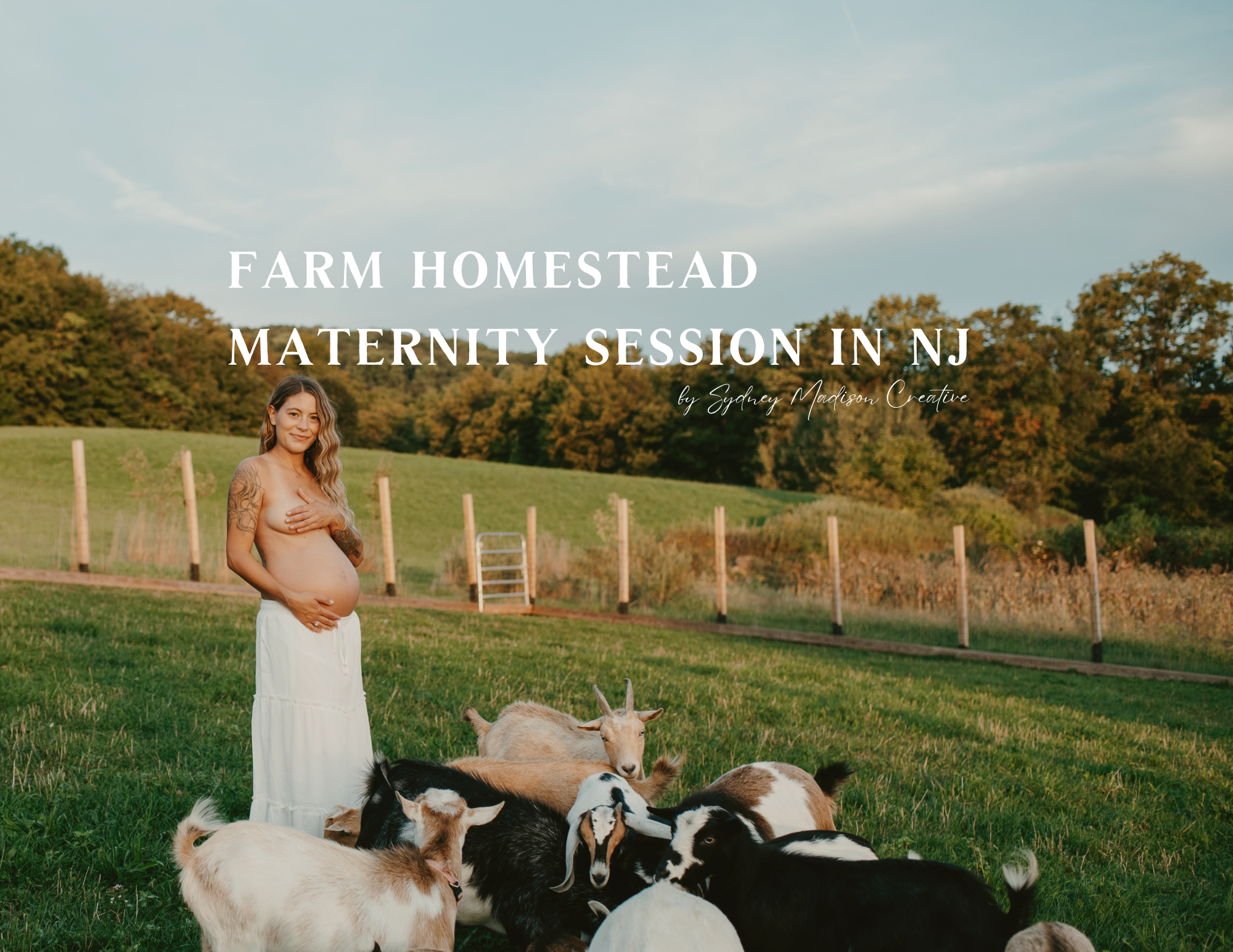 NJ Farm Homestead Maternity Photography by Sydney Madison Creative