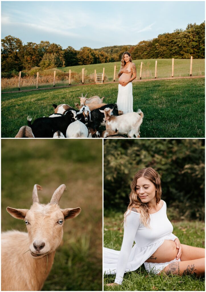 NJ Farm Homestead Maternity Photography by Sydney Madison Creative 