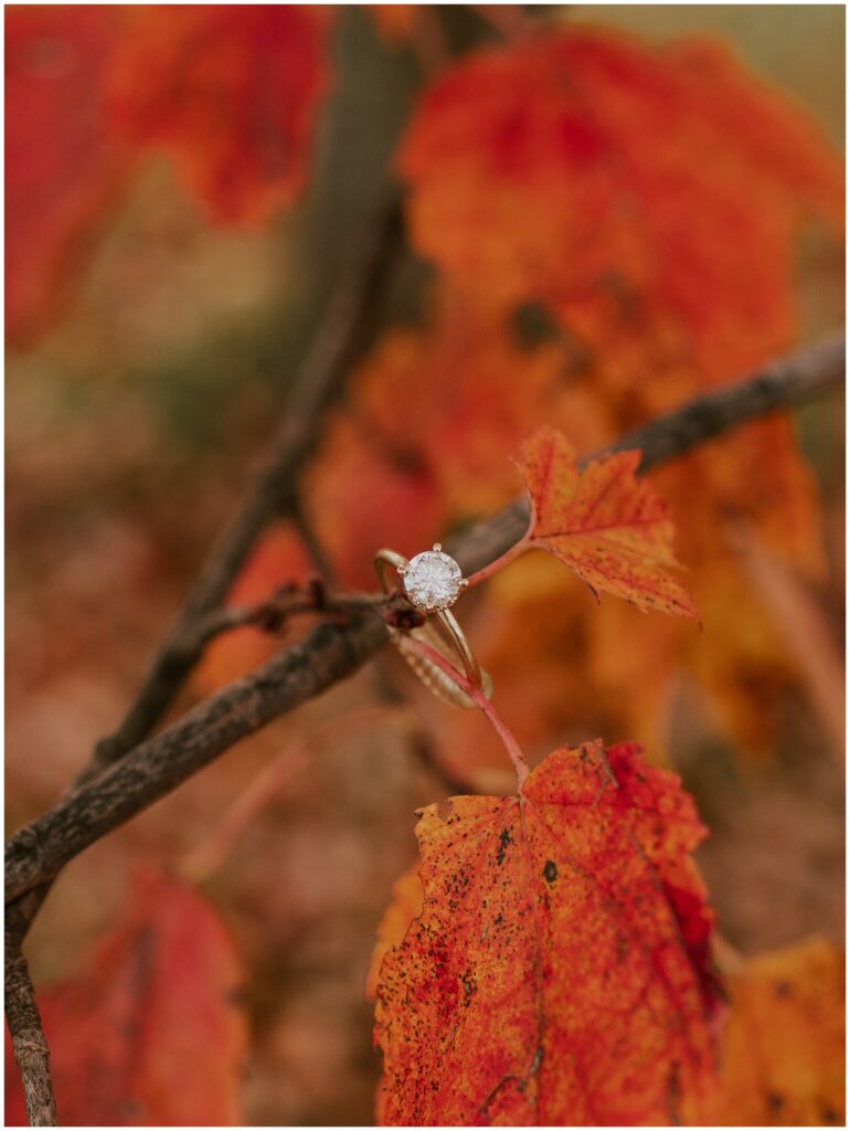 Autumn Engagement Photos by Sydney Madison Creative