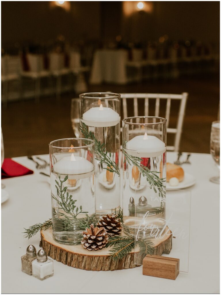 Christmas Wedding Reception at Renault Winery, Photos by Sydney Madison Creative