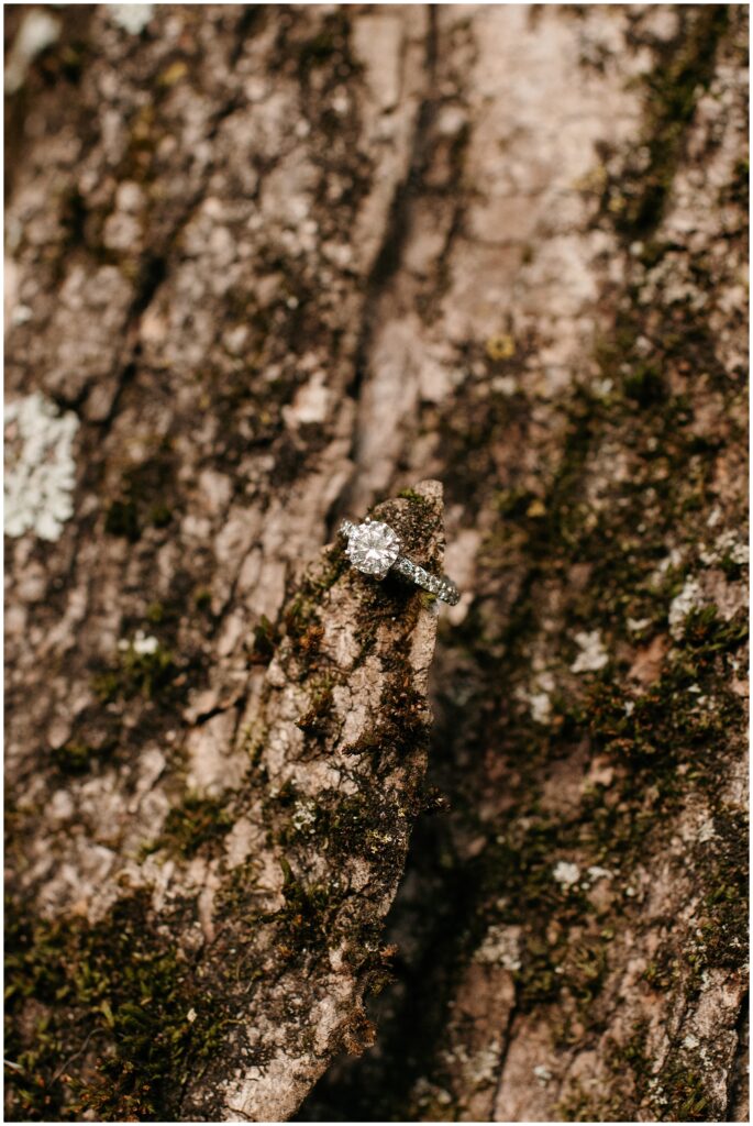 Engagement Ring Details by Sydney Madison Creative